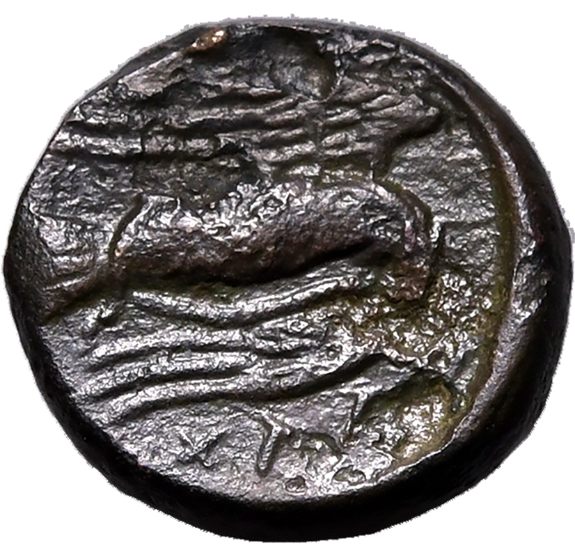 Ancient Greece: Euboia, Chalkis circa 290-271 BC Bronze AE14 About Very Fine - Image 2 of 2