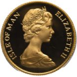 Isle of Man Elizabeth II 1982 Gold Half-Sovereign Proof