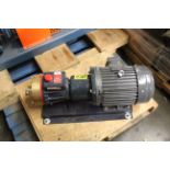 HYDRA-CELL POSITIVE DISPLACEMENT DIAPHRAGM PUMP WITH TEECO MOTOR