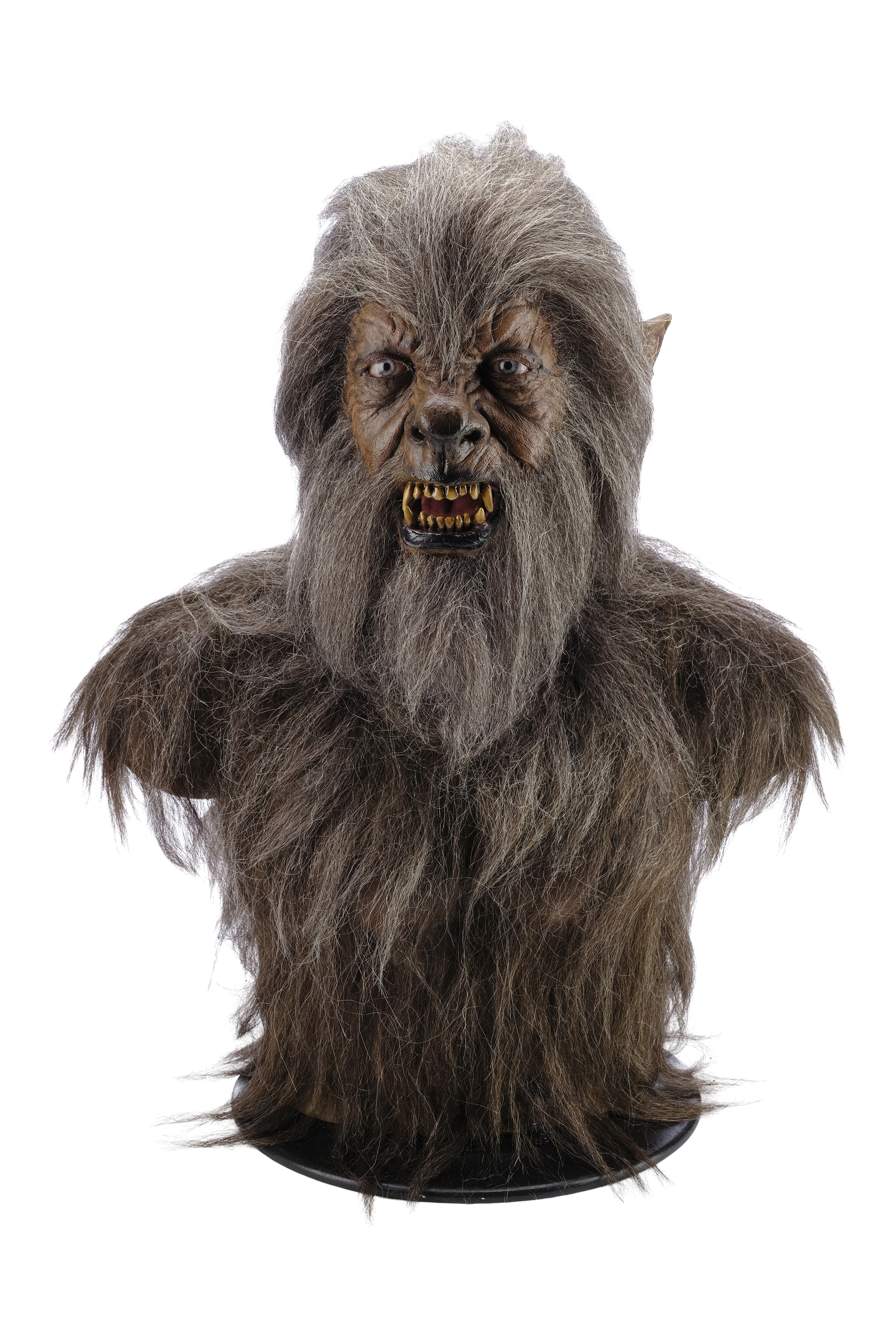 THE WOLFMAN (2010) - Sir John Talbot (Anthony Hopkins) Wolfman Bust