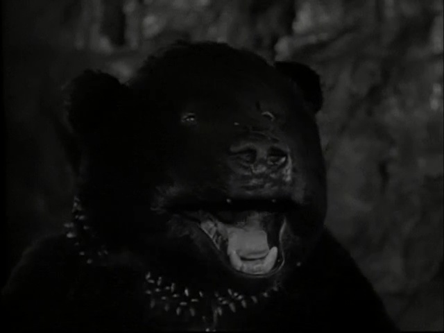 THE MUNSTERS (T.V. SERIES, 1965) - John Chambers Collection: Olga the Dancing Bear's (Janos Prohaska - Image 13 of 15