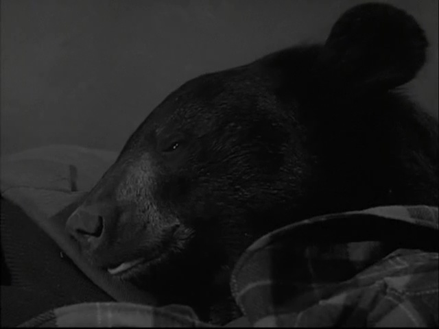 THE MUNSTERS (T.V. SERIES, 1965) - John Chambers Collection: Olga the Dancing Bear's (Janos Prohaska - Image 9 of 15