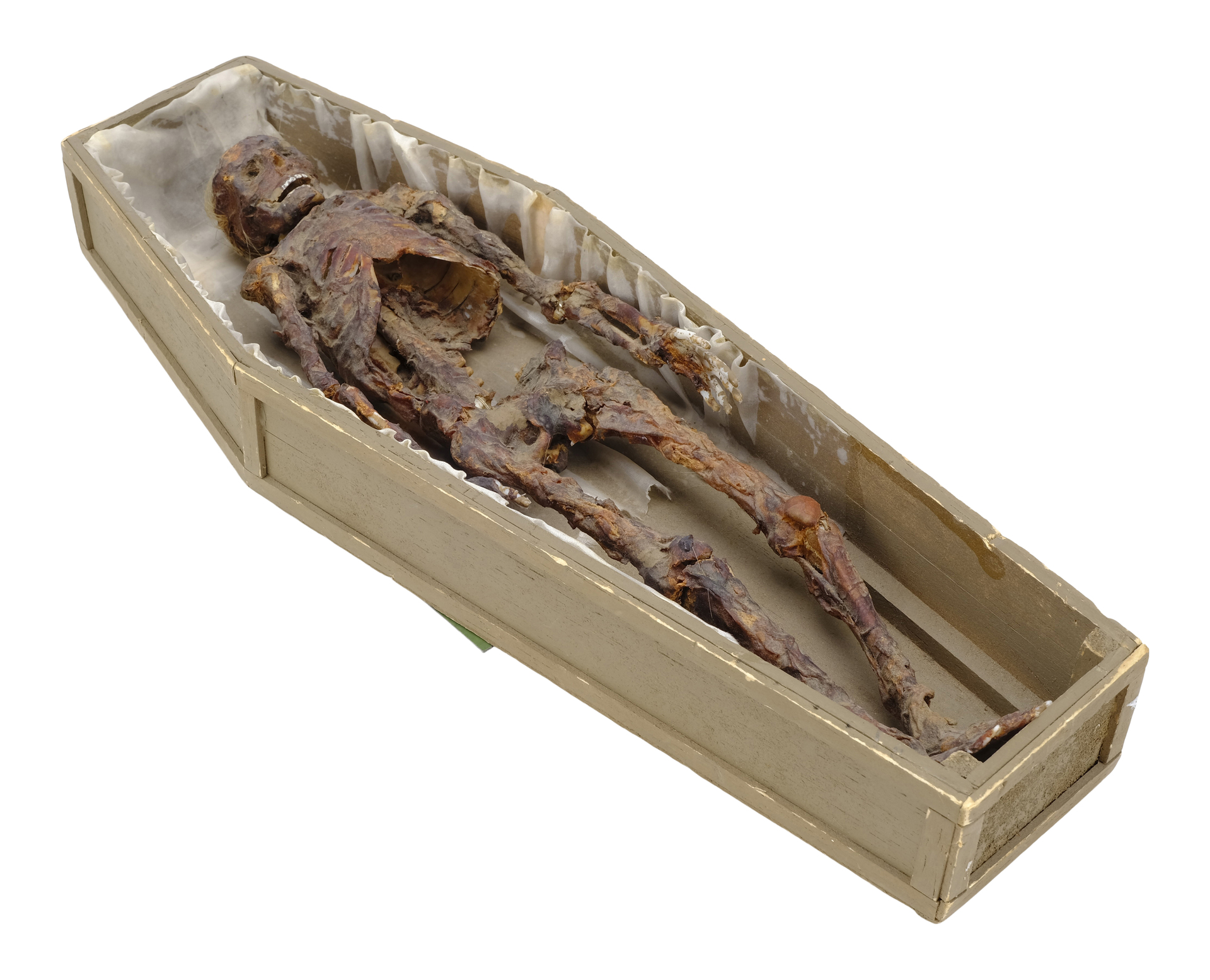 POLTERGEIST (1982) - Desiccated Corpse in Coffin Model Miniature - Image 3 of 7