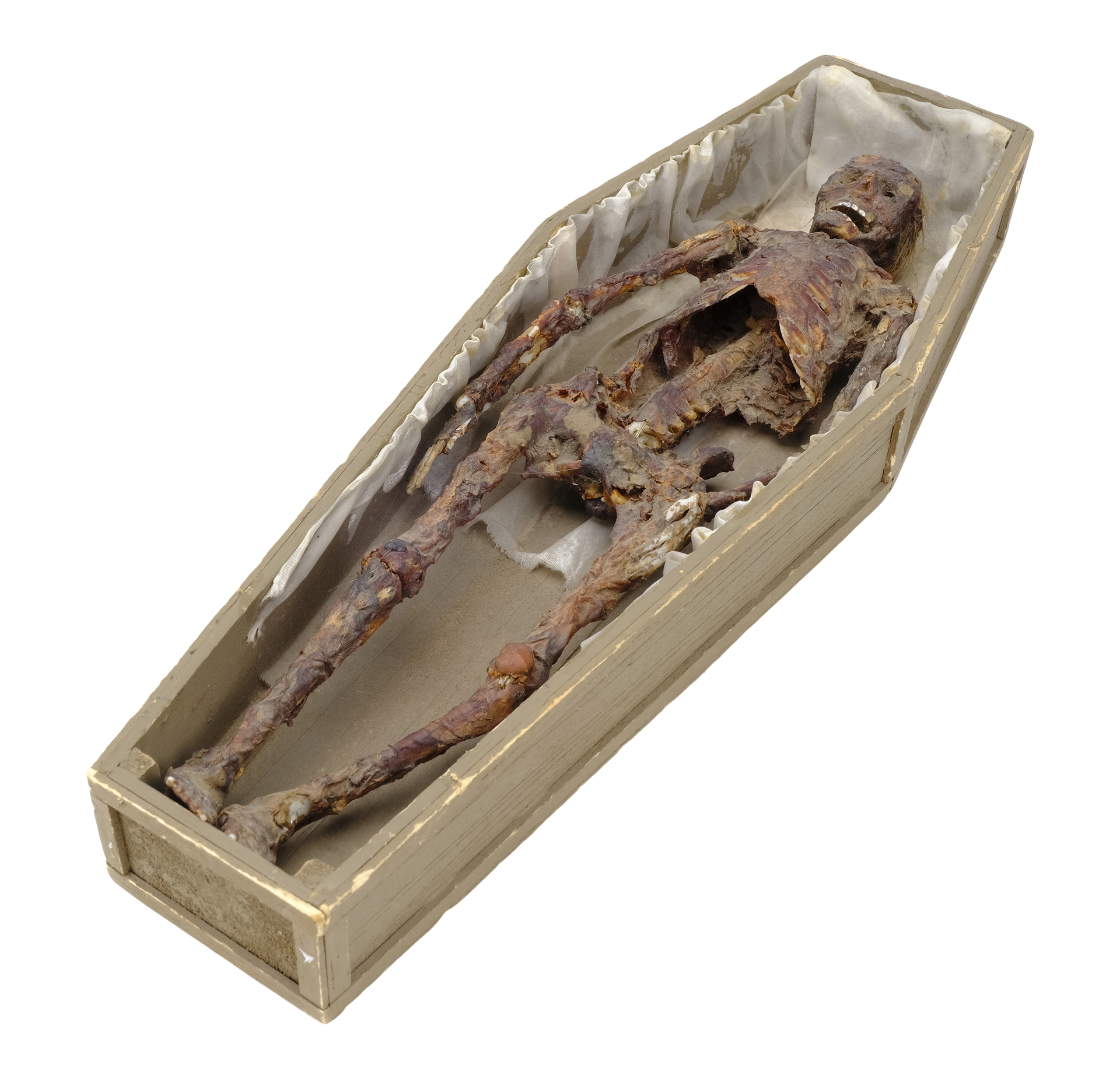 POLTERGEIST (1982) - Desiccated Corpse in Coffin Model Miniature - Image 2 of 7