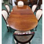 Vintage Mahogany Extending Dining Table with Claw Feet on 2 Pedestals + 6 Upholstered Chairs