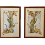 Glenda Rae - Visual Artist - Pair of Original Water Colours - Woodpeckers on Autumnal Trees - Framed