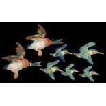 A Family of Beswick Kingfishers + 2 Beswick Flying Ducks