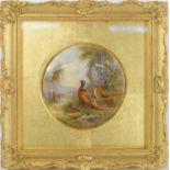 A Royal Worcester circular plaque painted with pheasants in a wooded landscape, by James Stinton,