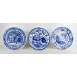 Two Wedgwood 19th century blue and white plates, one in the botanicals pattern, the other