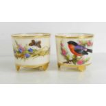 A pair of Royal Worcester vases, painted with birds, insects and flowers, together with a 19th