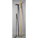 Two antique walking canes and a whip, one example being a swordstick with a horn and brass handle,