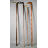 Four vintage walking canes, three with horn handles, one knotwood example and one having a bird form