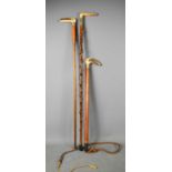 Two antique walking canes and a horse whip, all with horn handles and silver plated collars