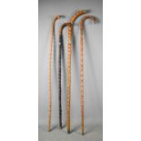 A group of four knotwood walking sticks, of various finish and form, two with white metal collars,