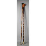Two vintage walking canes, one with bamboo cane and ebonised cap, the other of natural form with