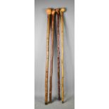 A group of four vintage walking canes, of natural wood form with rounded and polished ball form