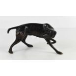 A small bronze of a pointer or gun dog, apparently unsigned, 9cm high.
