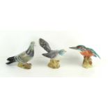 Three Beswick birds comprising of a Cuckoo 2315, Kingfisher 2371 and a Pigeon 1383, the tallest