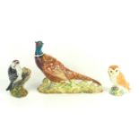 Three Beswick birds comprising of a Lesser Spotted Woodpecker 2420, an Owl 2026 and a Pheasant 1225,