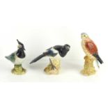 A group of three Beswick birds comprising of a Magpie 2305, Lapwing 2416 and a Kestrel 2316, the