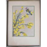 D. V. Cowen (British 20th Century): goldfinch amongst flowering broom, gouache on hessian panel,