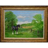 Caesor (20th century): oil on canvas depicting shire horse in landscape, signed lower right, 49 by