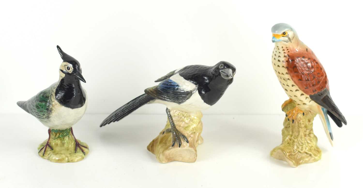 A group of Beswick birds comprising of a Kookaburra 1159, Songthrush 2308, a Sandpiper, a Magpie - Bild 2 aus 4