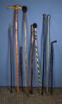 A collection of walking canes and staffs to include a cane carved with a snake spiralling around the