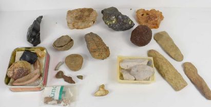 A group of fossils and ancient stone tools to include a fossilised sharks tooth, stone cutting tool,