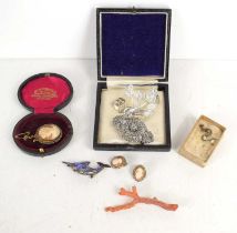 A group of vintage jewellery to include a cameo brooch, abalone marlin brooch, coral form brooch,