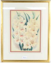 Gladiolus, a watercolour study, likely early 20th century, 32 by 23, framed and glazed. [This lot