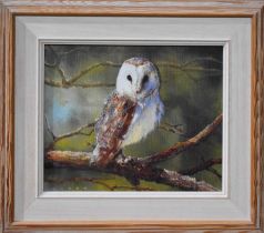 David Crane (British 20th century): Barn Owl, oil on canvas 24 by 27cm.