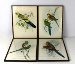 A group of four prints of birds, with gallery label mark verso for W. Heffer & Sons Ltd, The