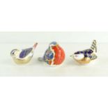 A group of three Royal Crown Derby bird paperweights to include a Robin LIX with stopper, 6.5cm