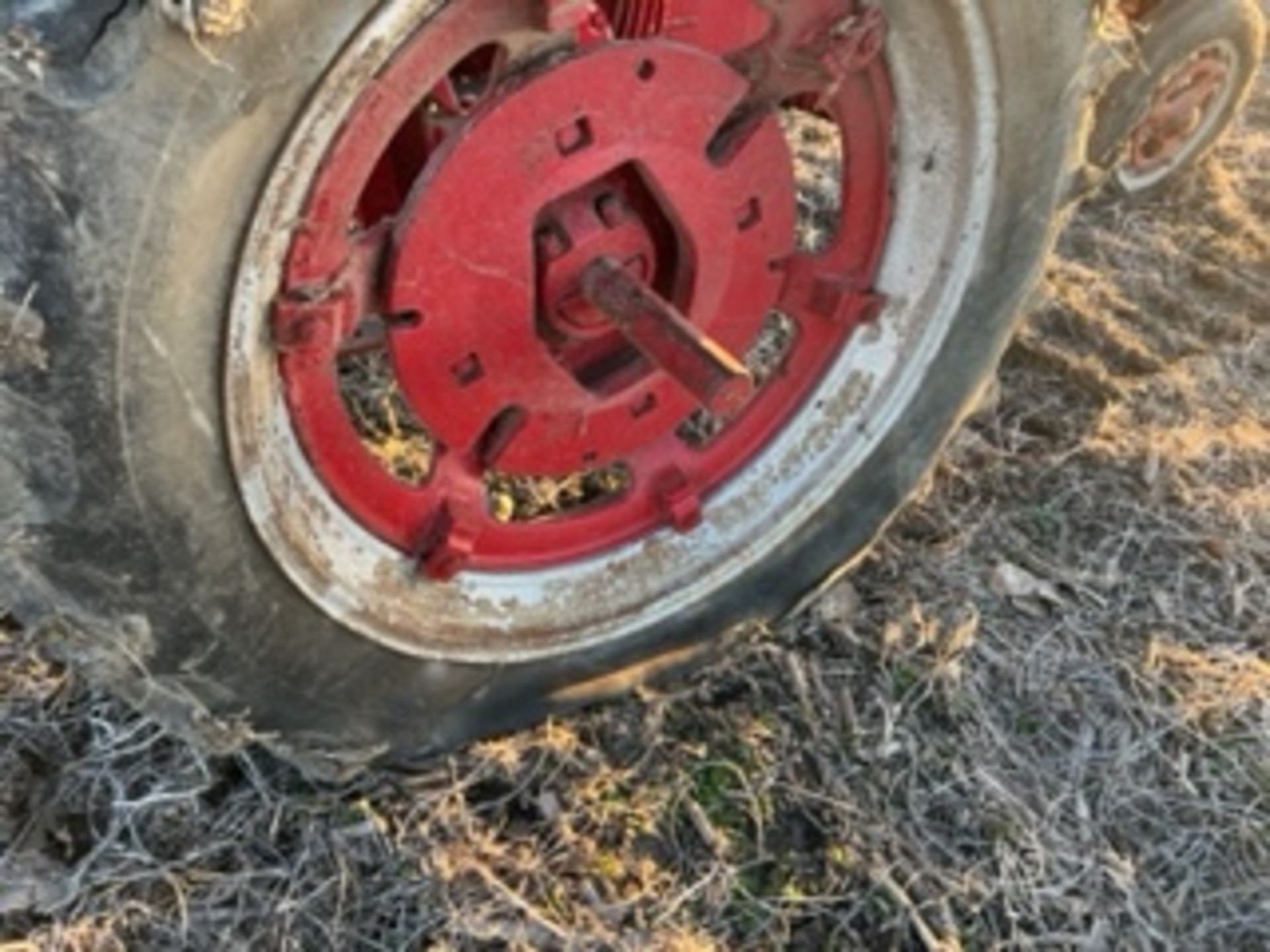 Farmall Super H Tractor - Image 8 of 13