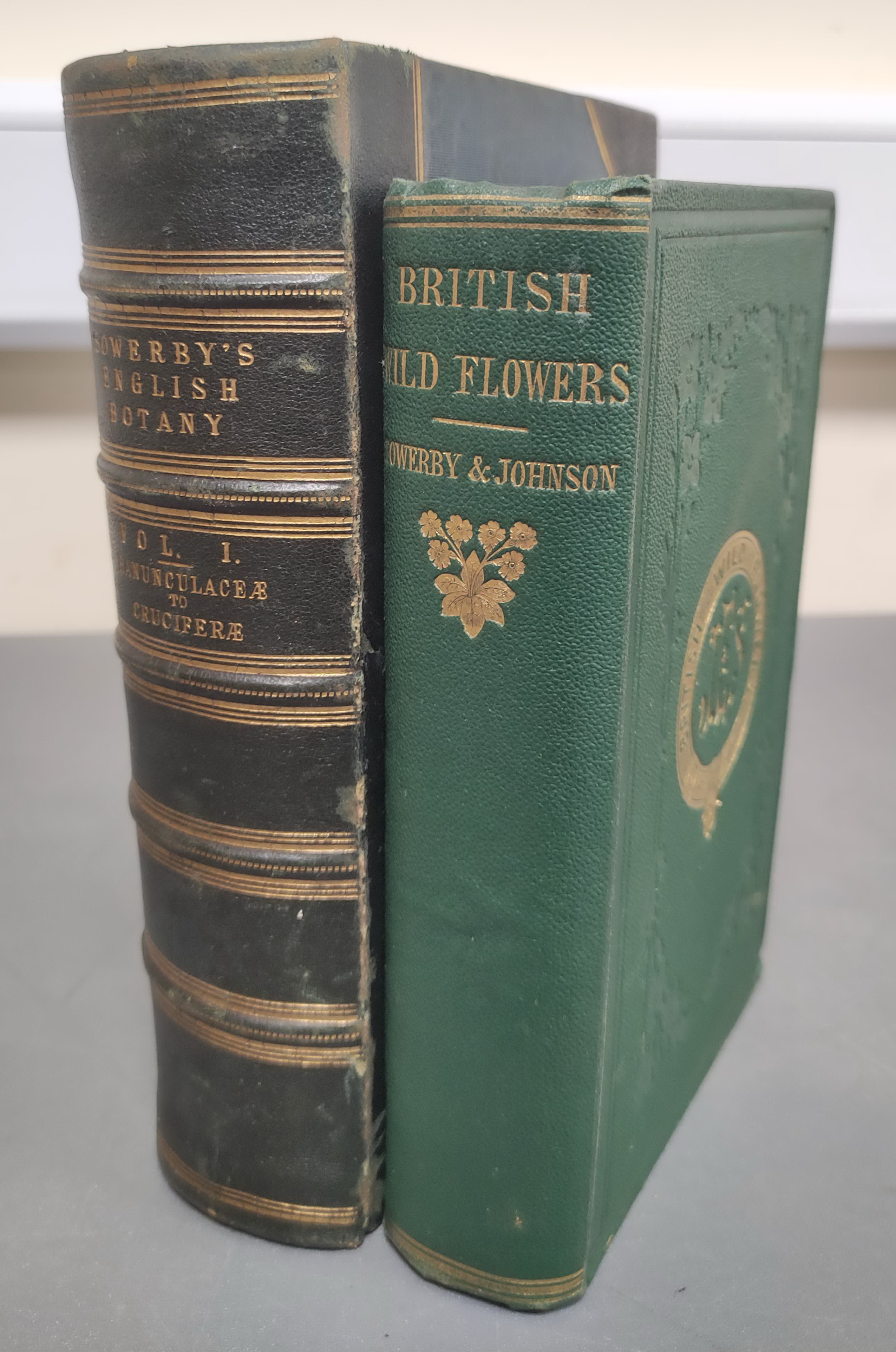 SOWERBY J. E. & others.  English Botany or Coloured Figures of British Plants. 161 col. plates.