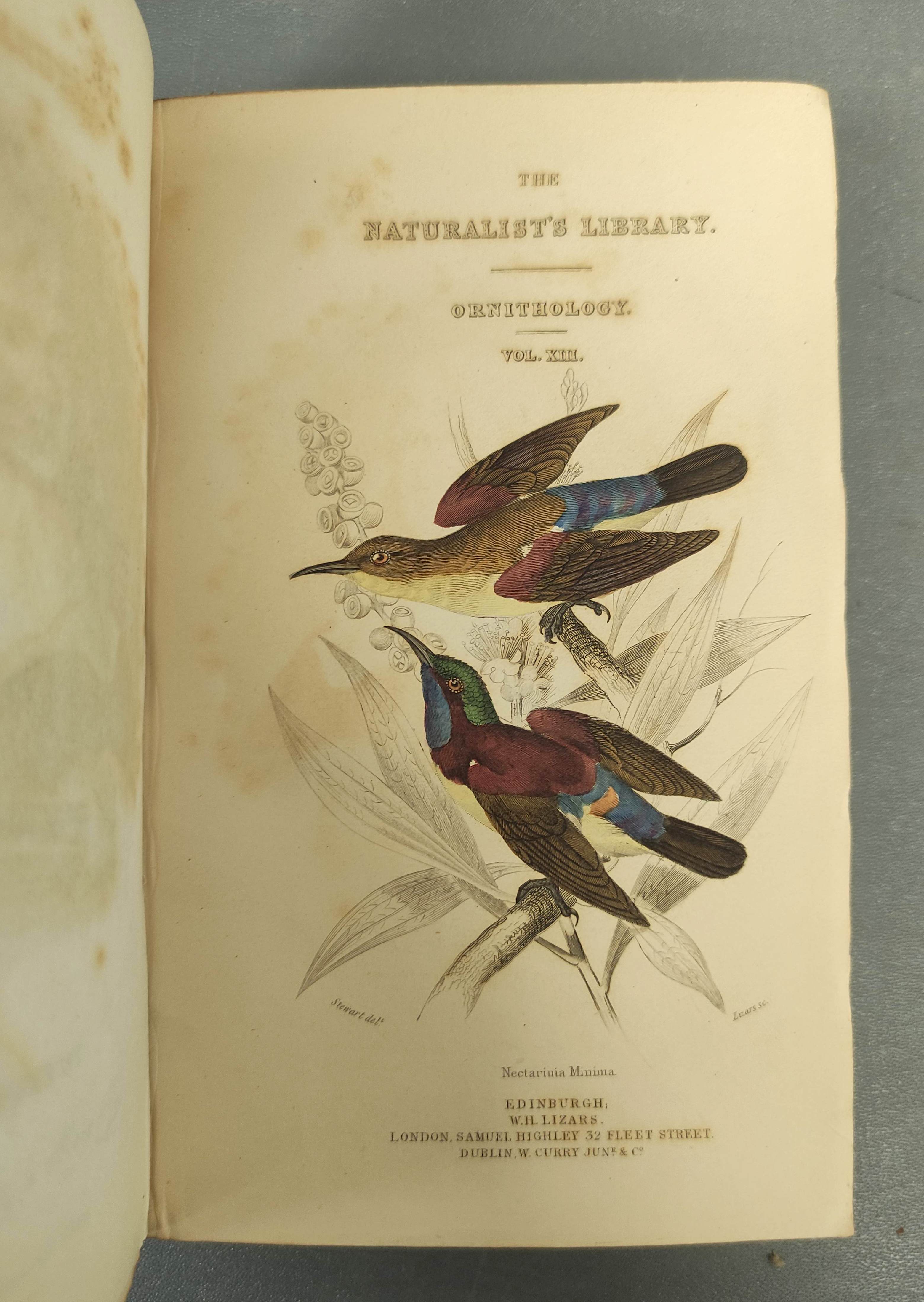 JARDINE SIR WILLIAM.  The Naturalist's Library. Ornithology vols. 1 & 2 re. Humming Birds. Eng. - Image 8 of 16