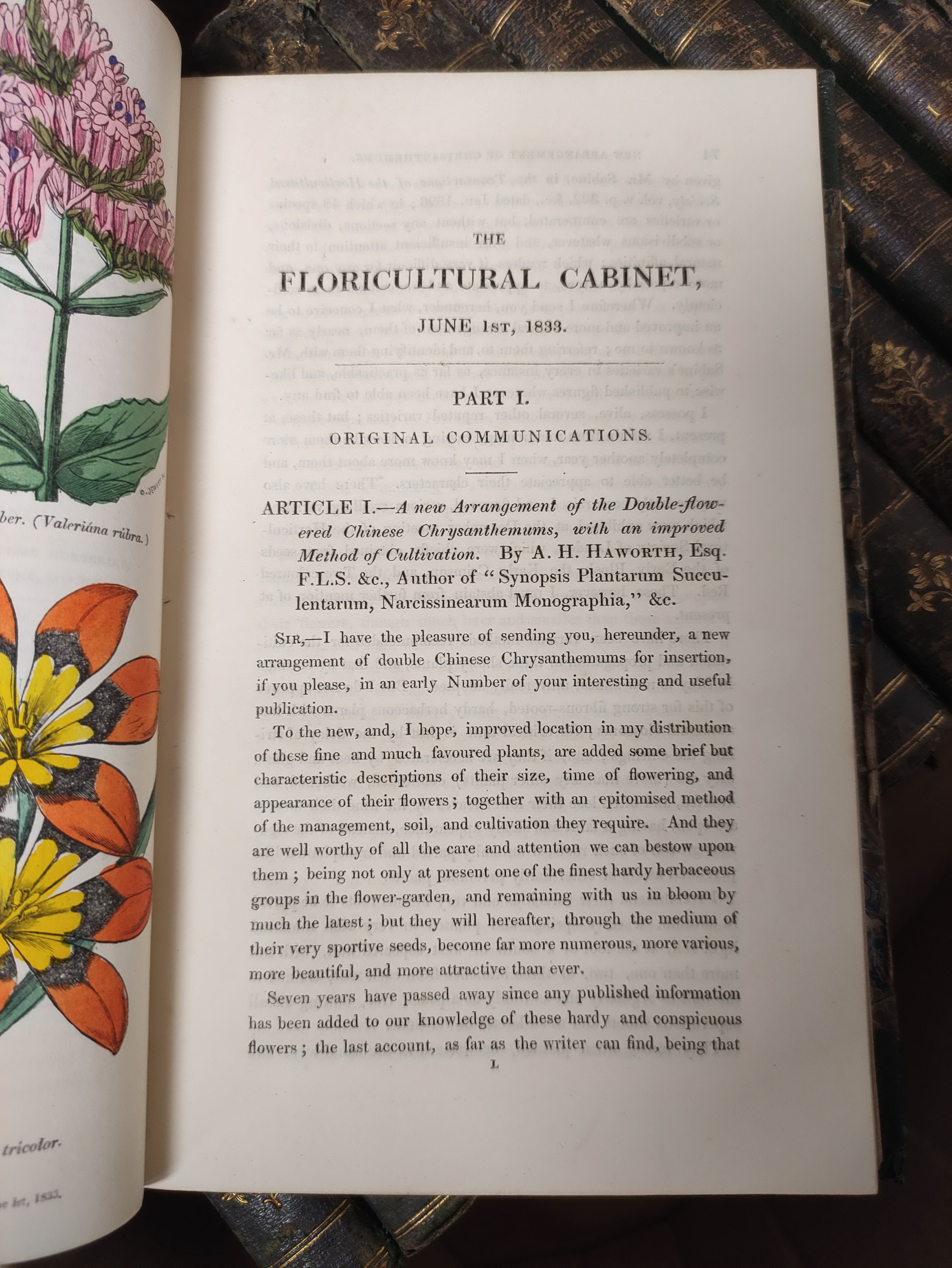HARRISON JOSEPH.  The Floricultural Cabinet & Florist's Magazine. Vols. 1 to 13. Very many col. - Image 6 of 8