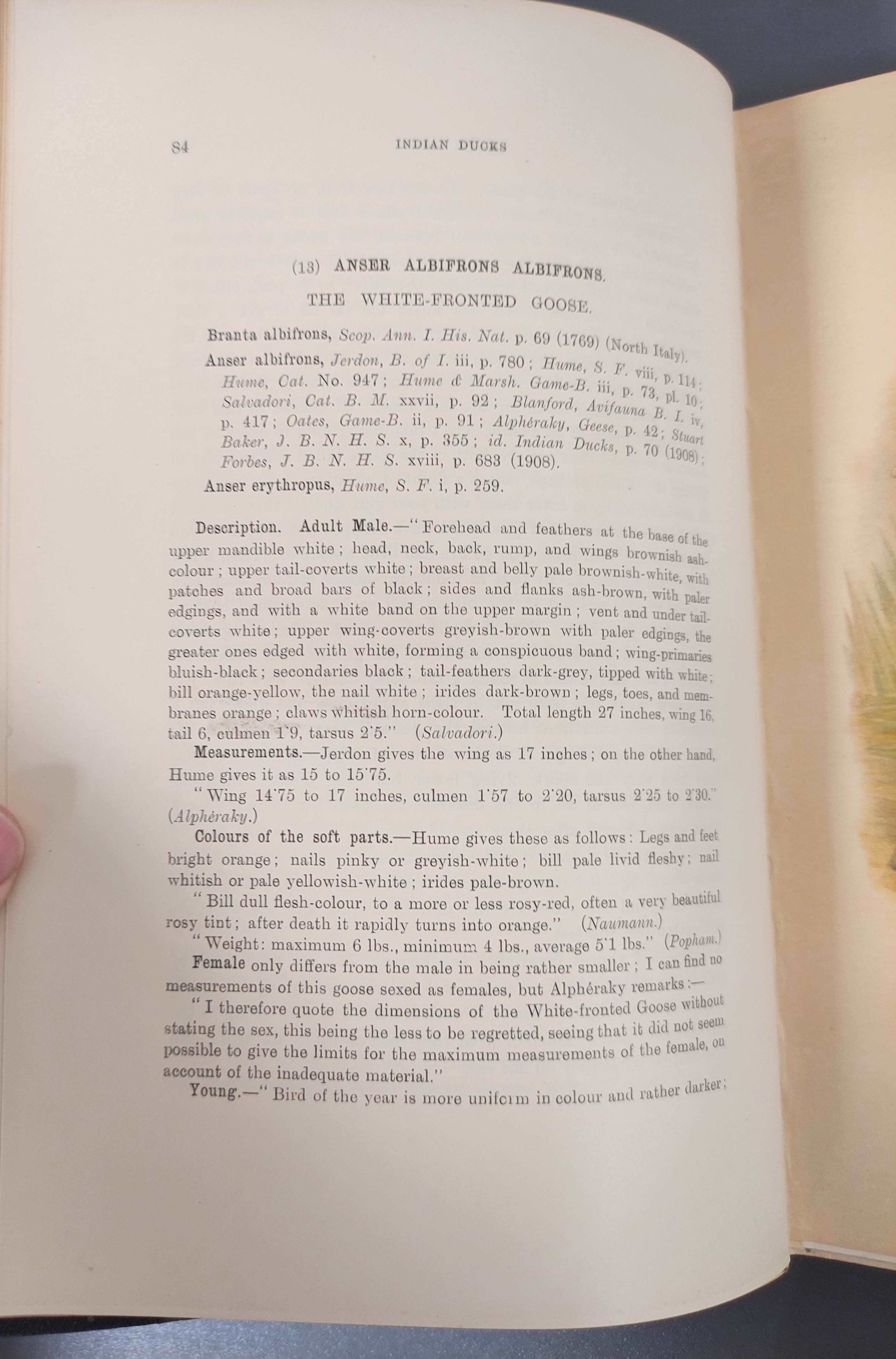 STUART BAKER E. C.  The Game-Birds of India, Burma & Ceylon. Vols. 1 & 2. 49 col. plates. Royal 8vo. - Image 6 of 13