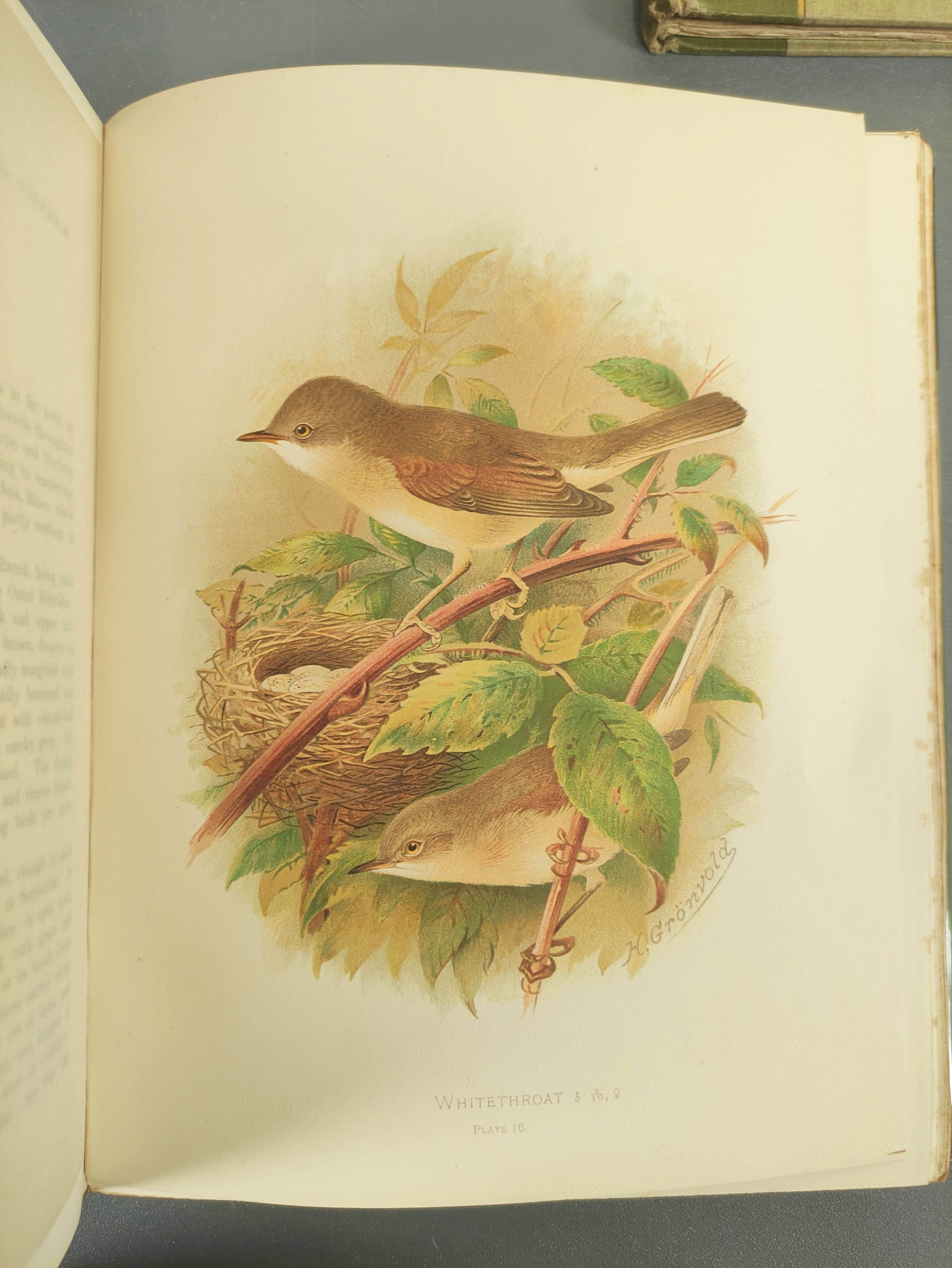 BUTLER A. G.  Birds of Great Britain & Ireland. 2 vols. Good col. plates by H. Gronvold & F. W. - Image 12 of 17