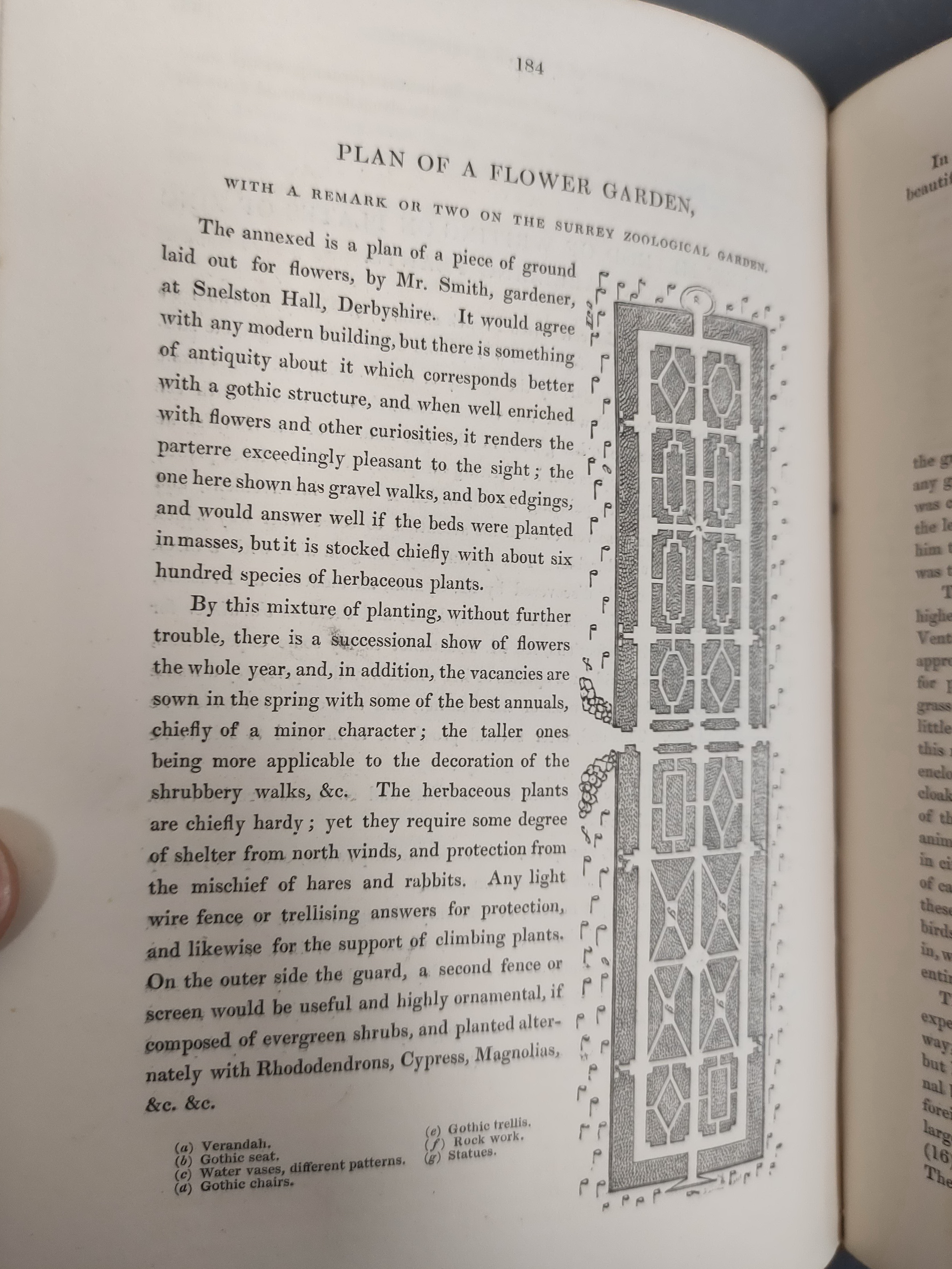 PAXTON JOSEPH.  Paxton's Magazine of Botany. Vols. 1 to 4. 151 hand col. plates plus text illus. - Image 9 of 11
