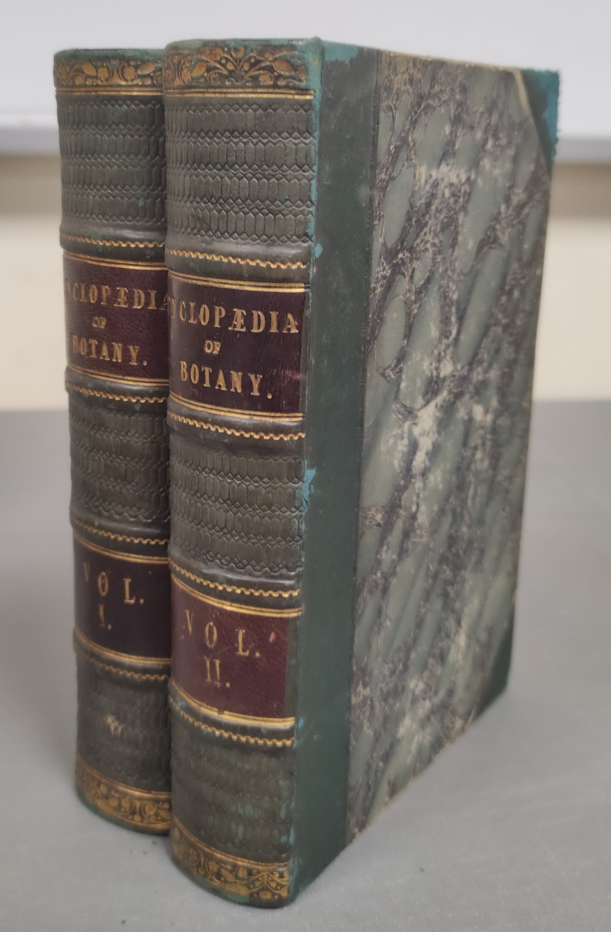 CLARK W. M. & BROOK R. (Pubs).  The Cyclopaedia of Botany or A Correct History & Description of