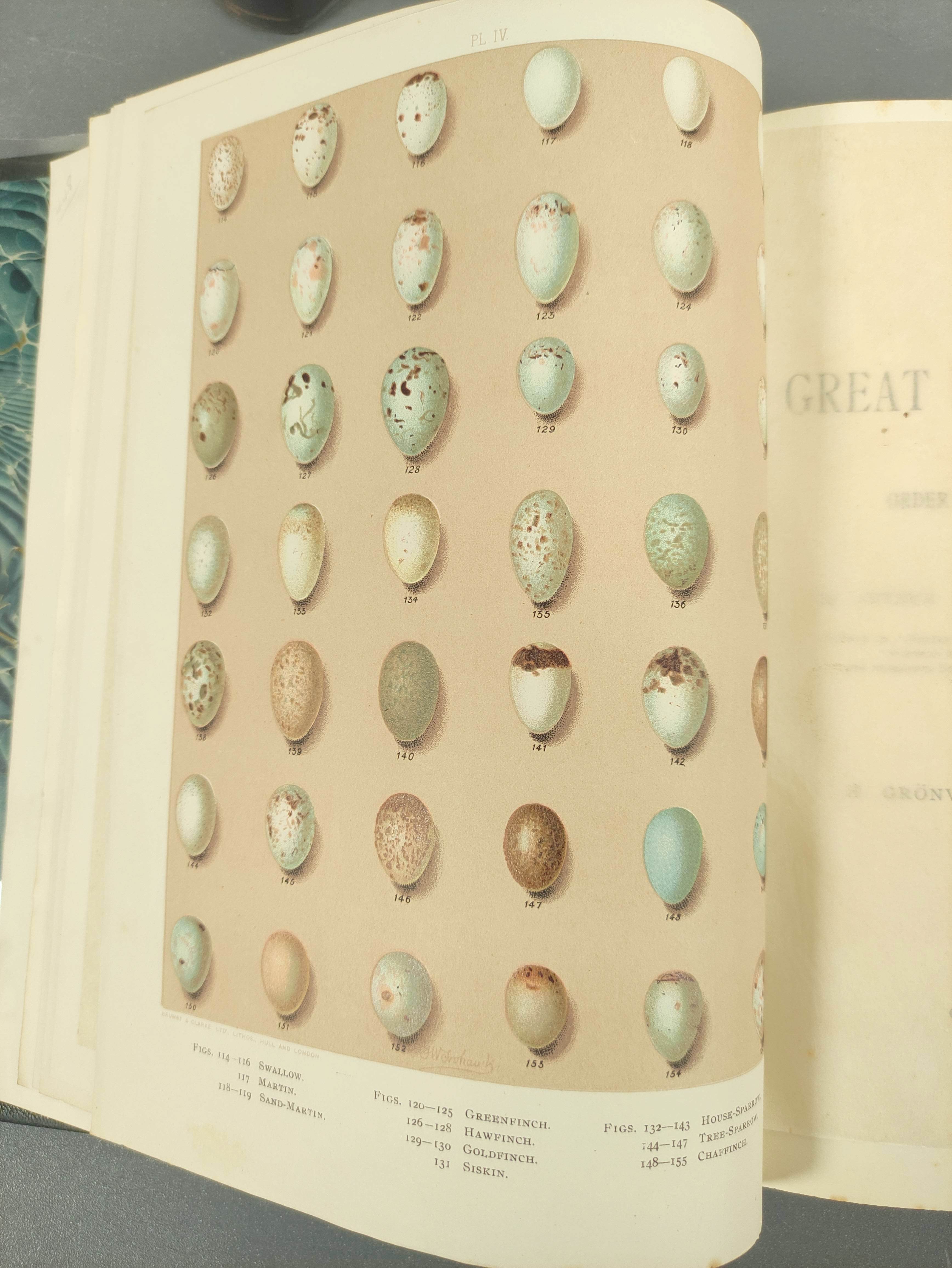 BUTLER A. G.  Birds of Great Britain & Ireland. 2 vols. Good col. plates by H. Gronvold & F. W. - Image 8 of 17