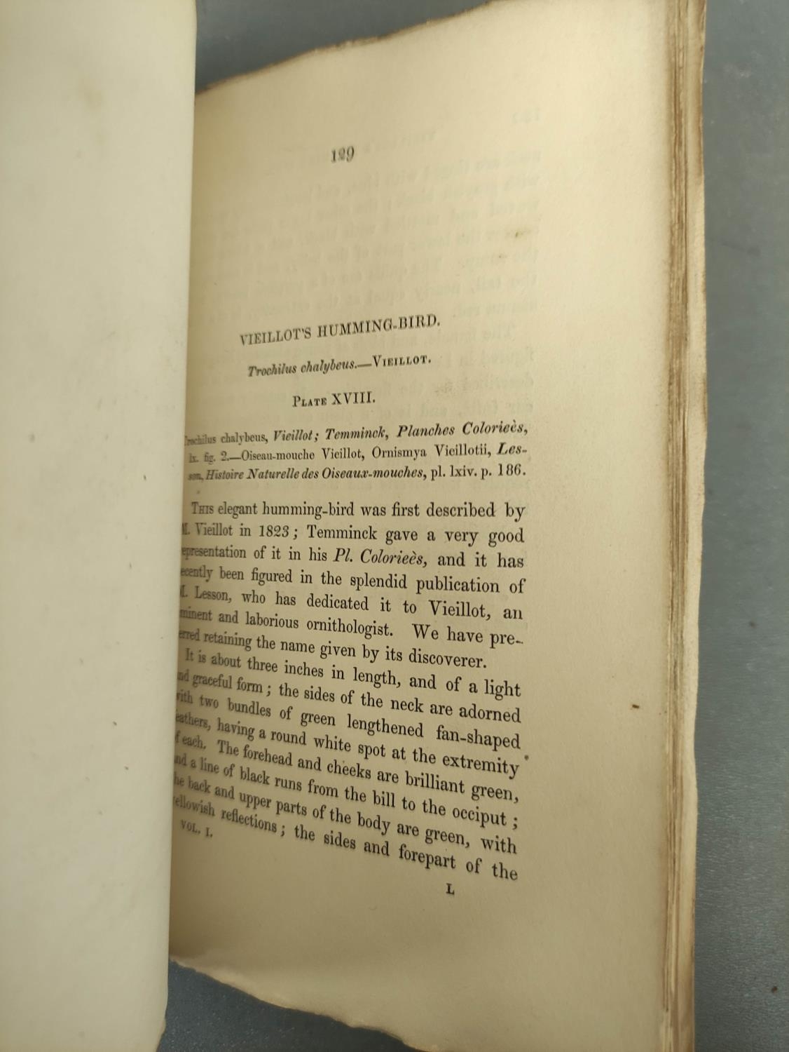 JARDINE SIR WILLIAM.  The Naturalist's Library. Ornithology vols. 1 & 2 re. Humming Birds. Eng. - Image 13 of 16