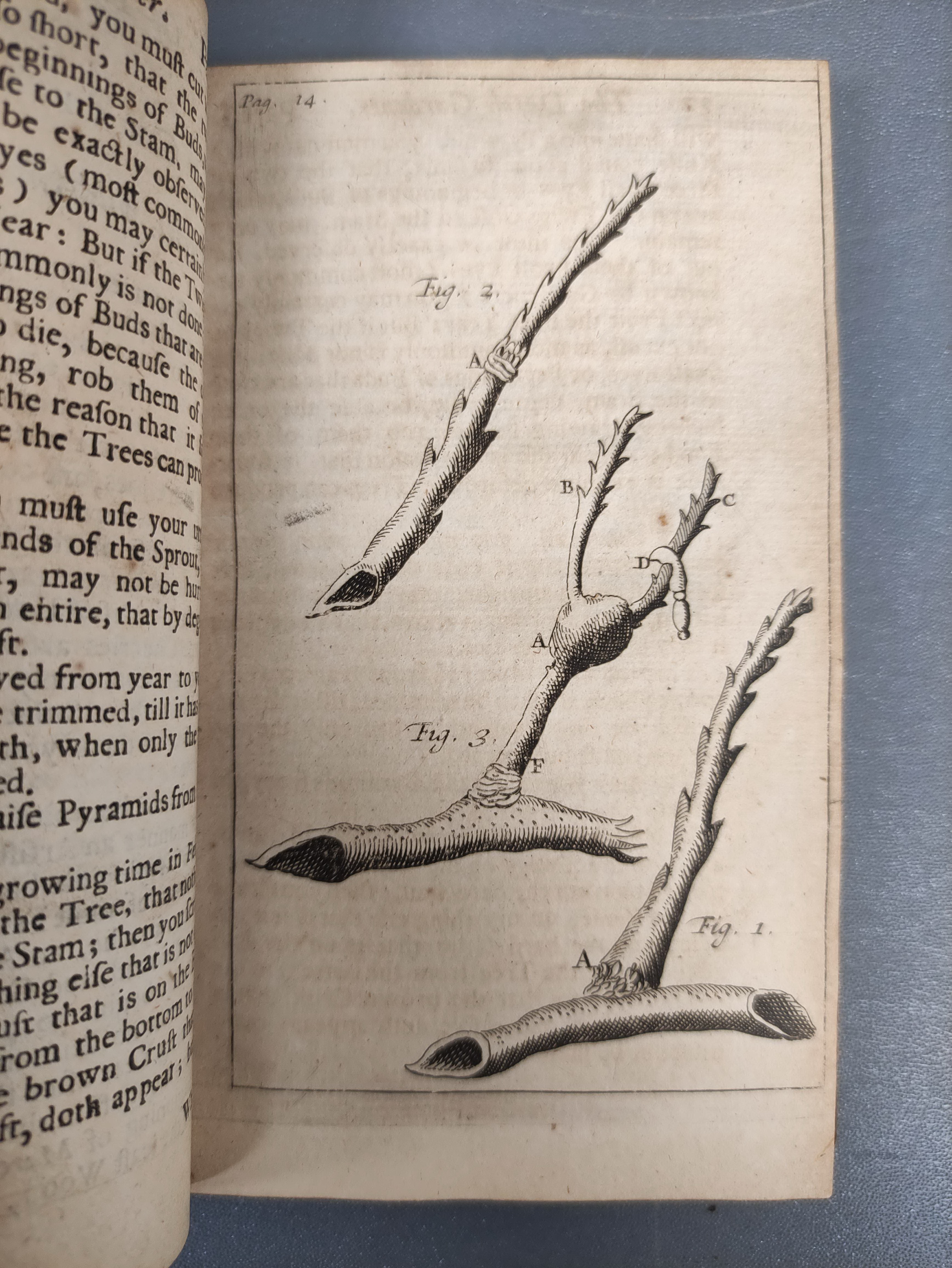 DU MONT DE COURSET G. L. M.  Le Botaniste Cultivateur. Vols. 1, 2, 3, & 7. Fldg. eng. plan. Qtr. - Image 11 of 11