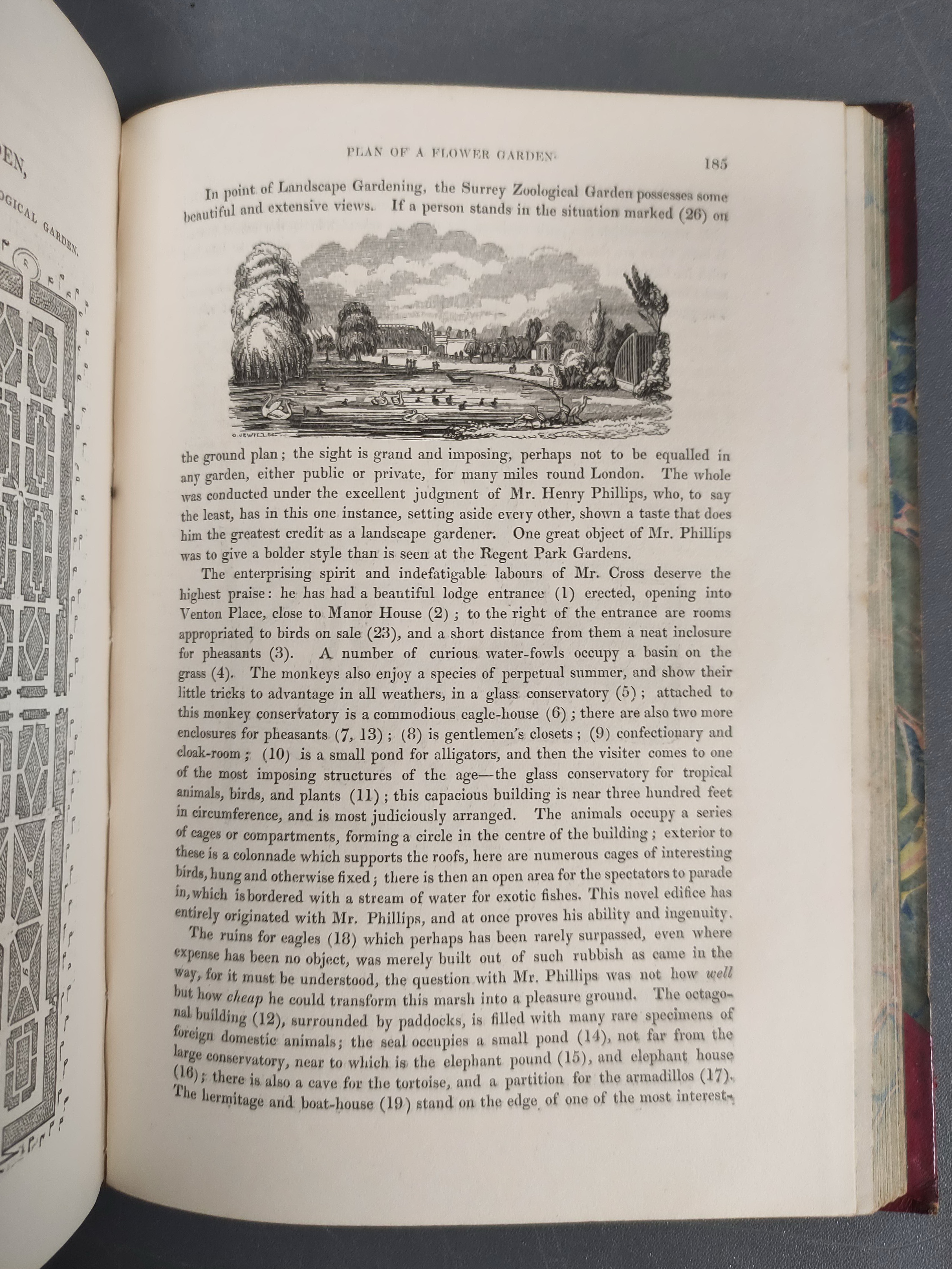PAXTON JOSEPH.  Paxton's Magazine of Botany. Vols. 1 to 4. 151 hand col. plates plus text illus. - Image 8 of 11