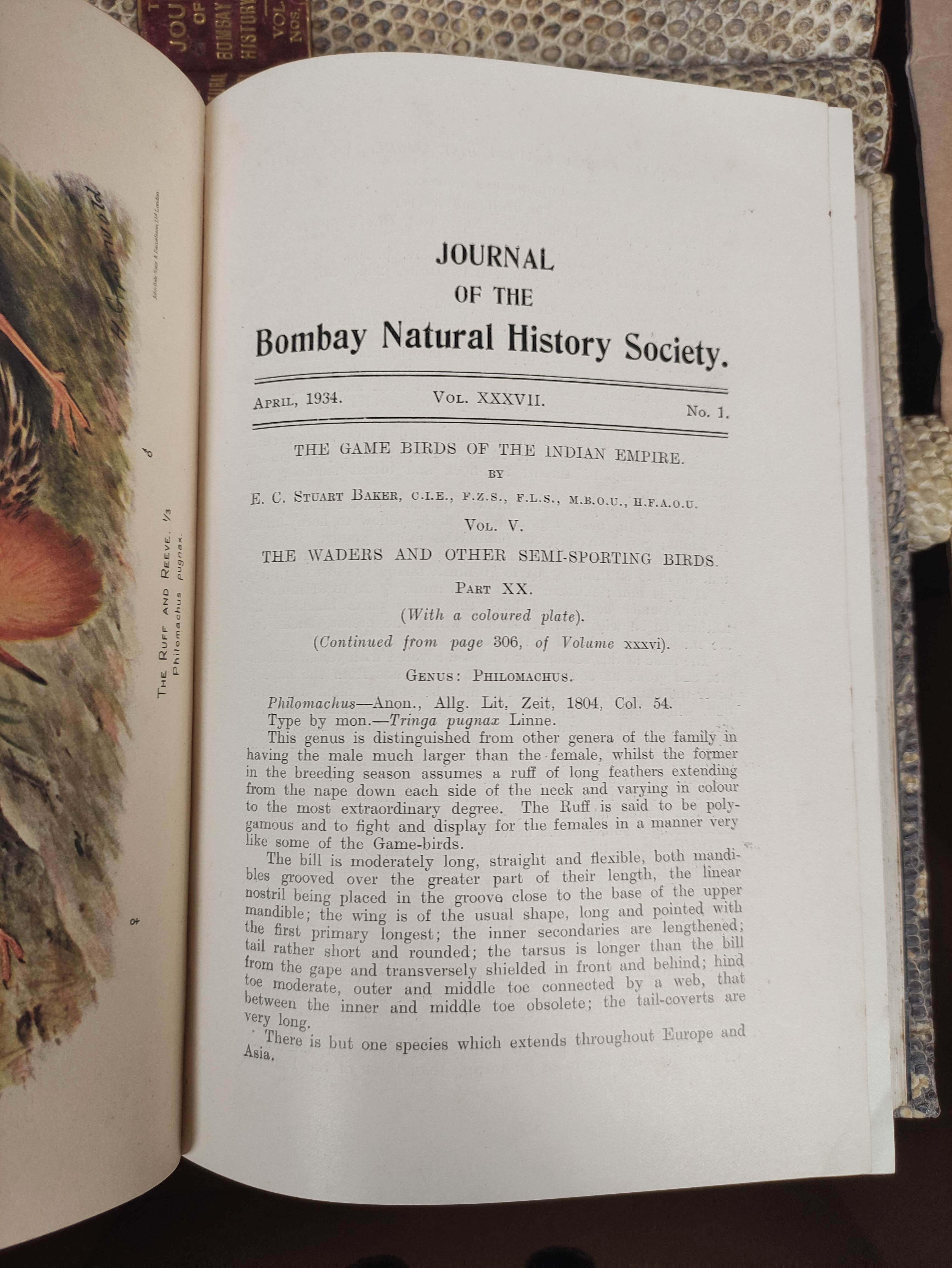 BOMBAY NATURAL HISTORY SOCIETY.  The Journal. Vols. 37 to vol. 42 (nos. 1 & 2) in eleven. Many - Image 6 of 7