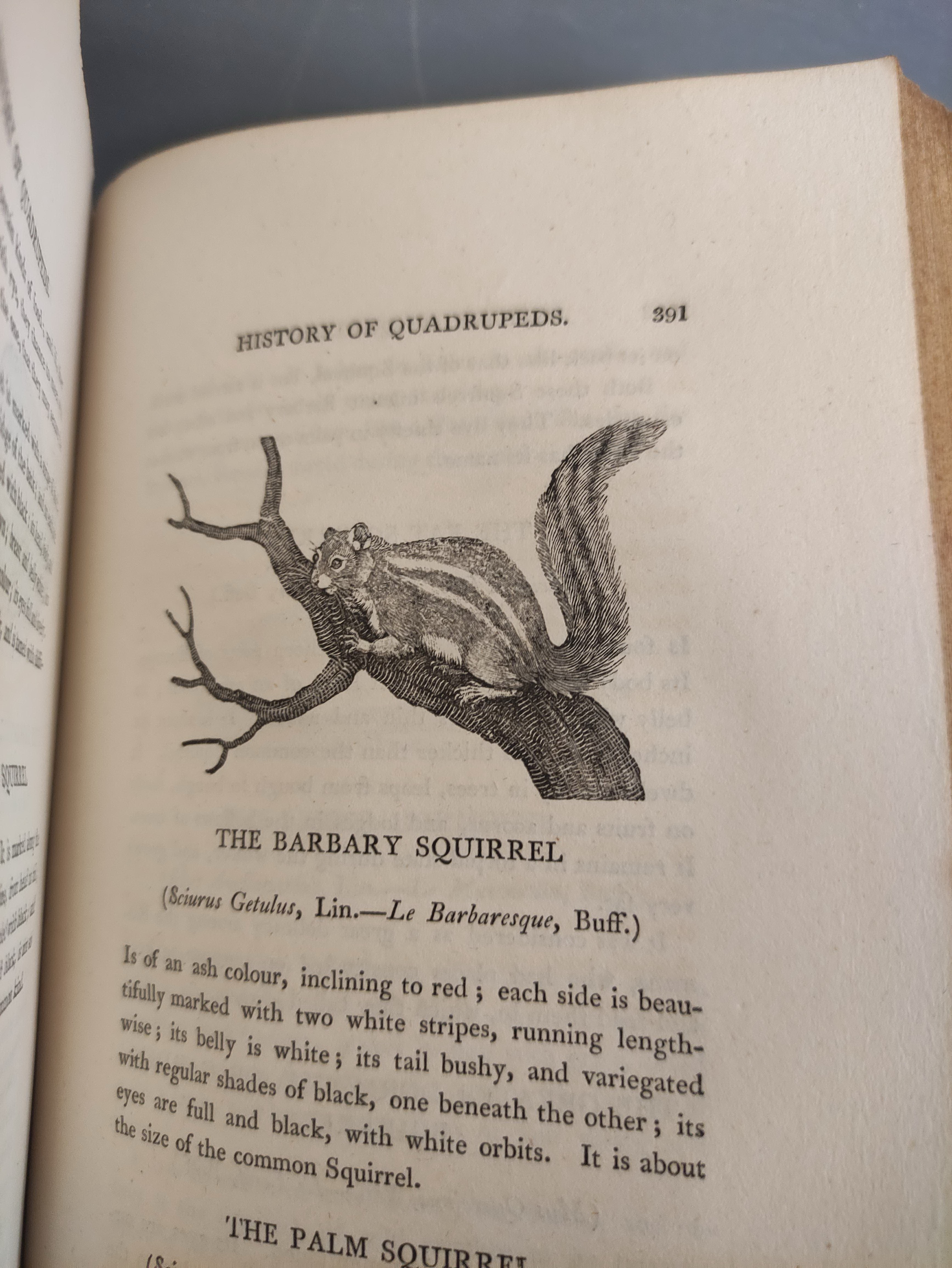 BEWICK THOMAS.  A General History of Quadrupeds. 525pp. Many wood eng. vignettes. Large paper 8vo. - Image 8 of 9