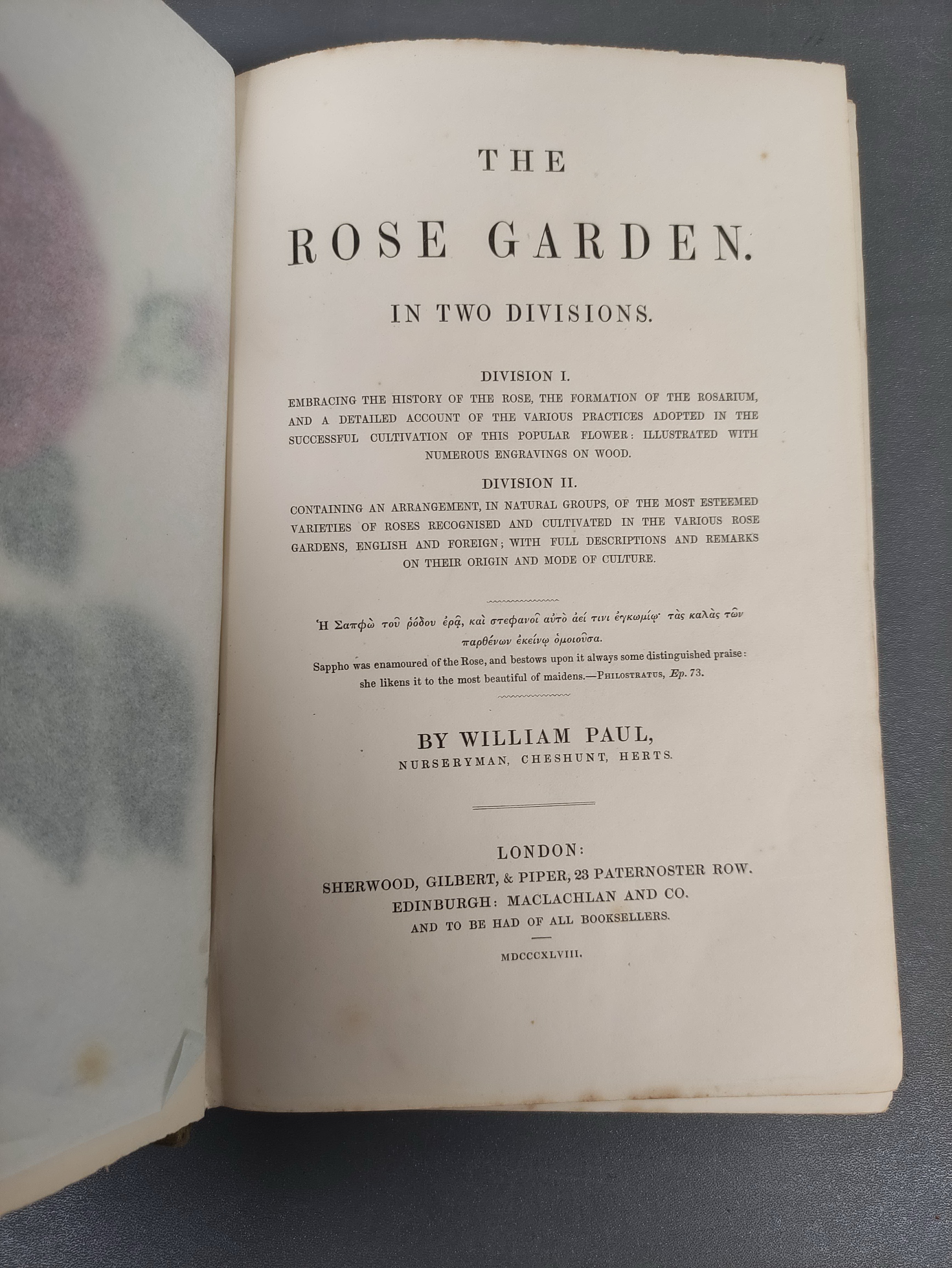 PAUL WILLIAM, of Cheshunt.  The Rose Garden. Col. & other illus. & text vignettes. Royal 8vo. - Image 2 of 8