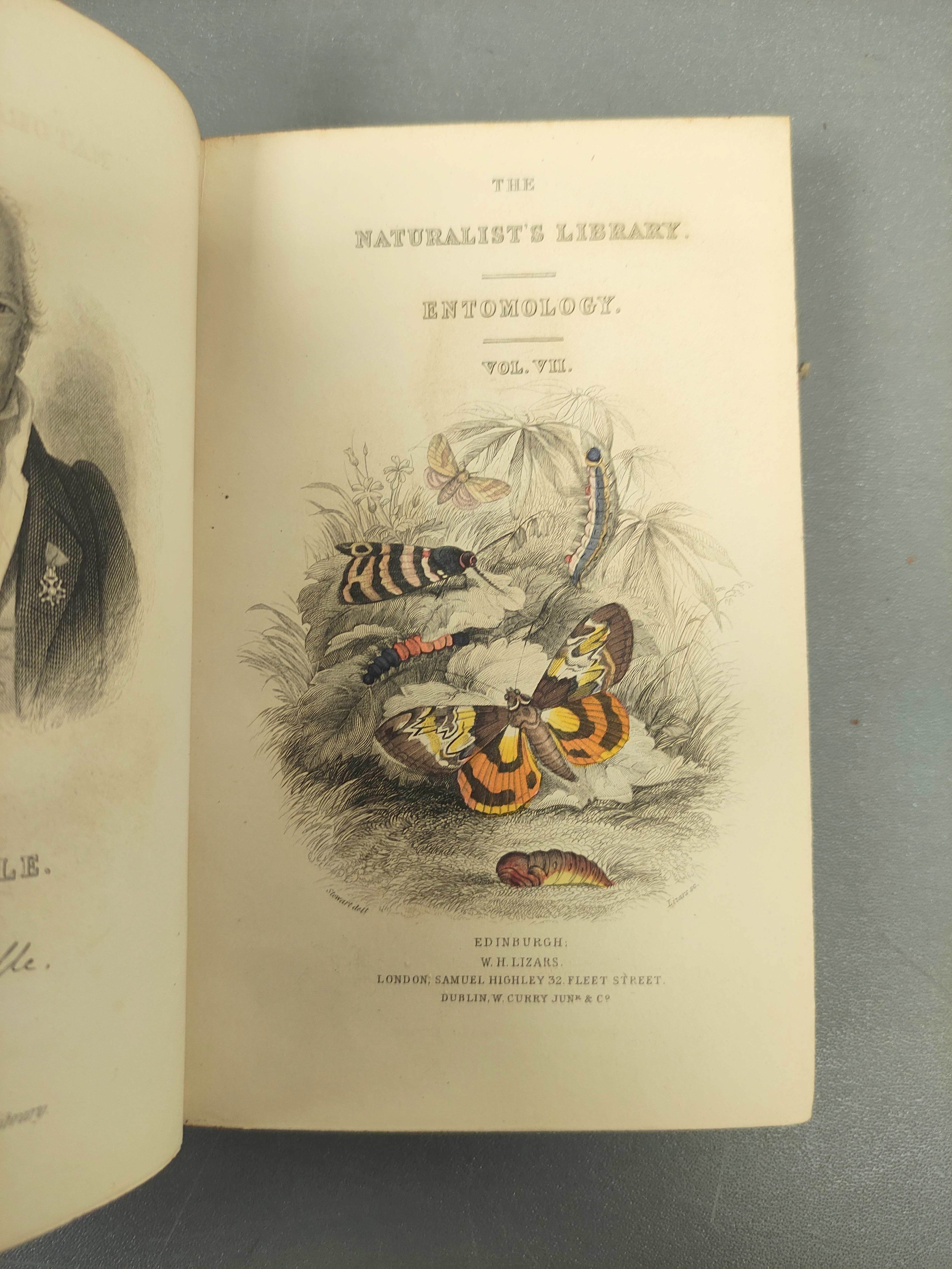 JARDINE SIR WILLIAM.  The Naturalist's Library. Vols. 32, 33 & 34 - Entomology (5, 6 & 7) re. exotic - Image 3 of 7
